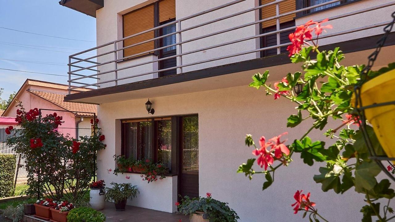 Milica Villa Banja Koviljača Exterior foto